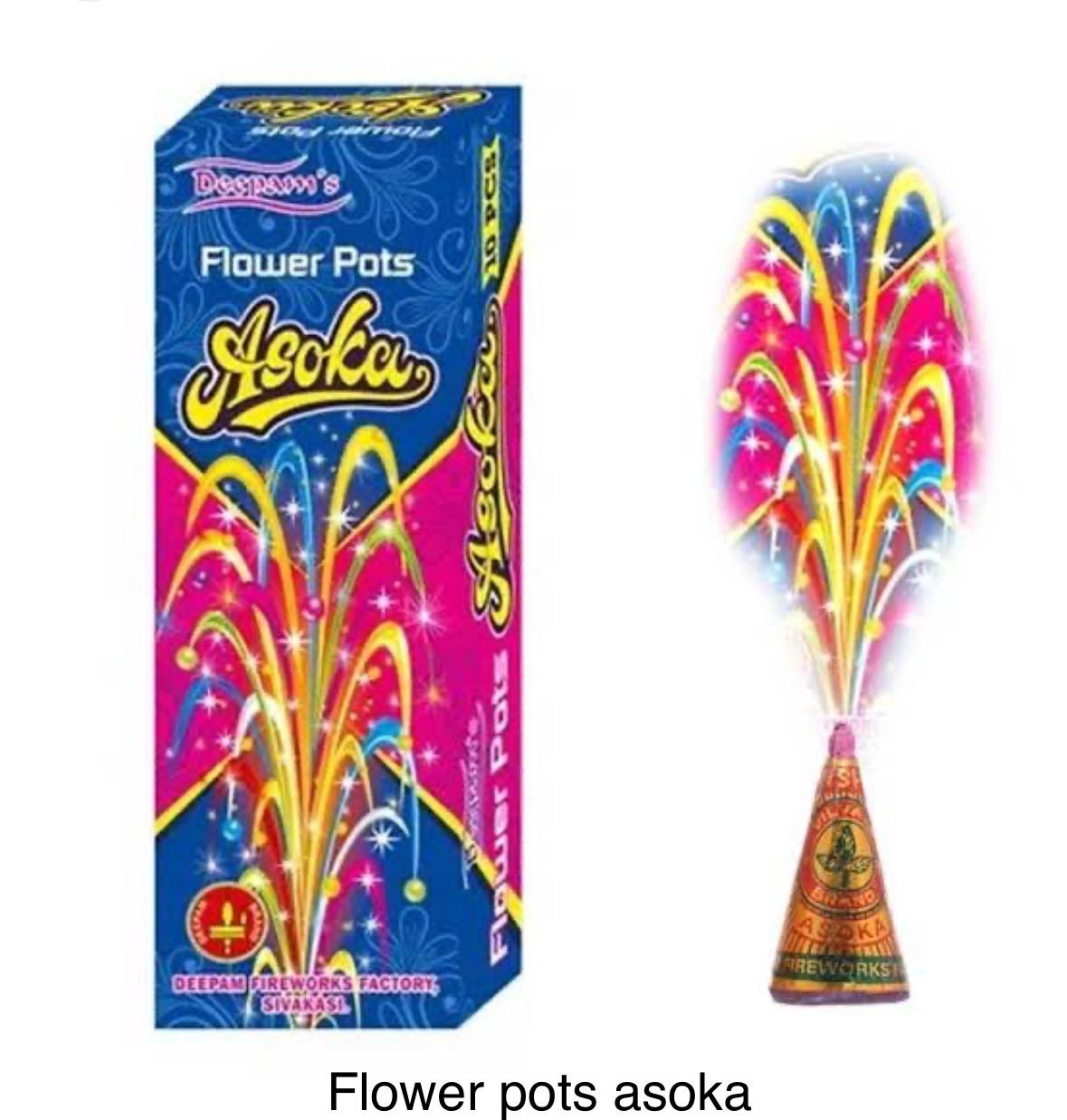 Flower Pots Asoka